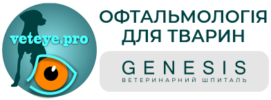 Veteye.Pro | Ветеринарна Офтальмологія в Києві