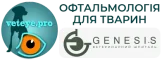Veteye.Pro | Ветеринарна Офтальмологія в Києві