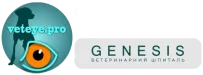 Veteye.Pro | Ветеринарна Офтальмологія в Києві